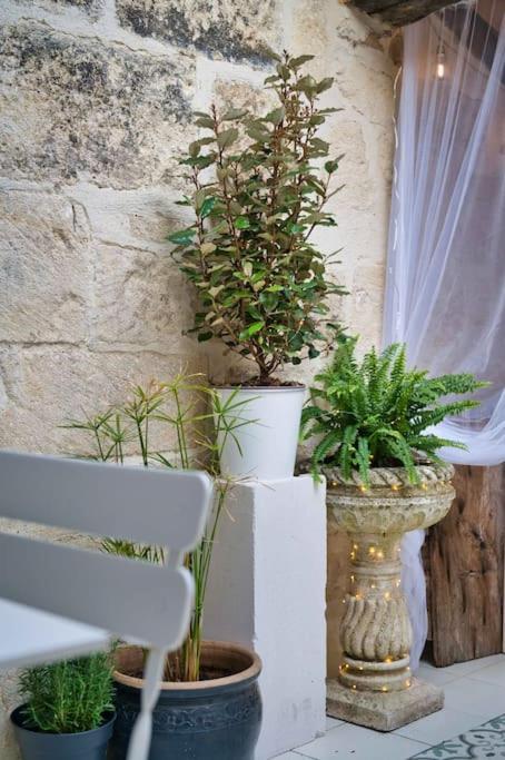 Appartement-Terrasse Centre Historique Uzès Dış mekan fotoğraf